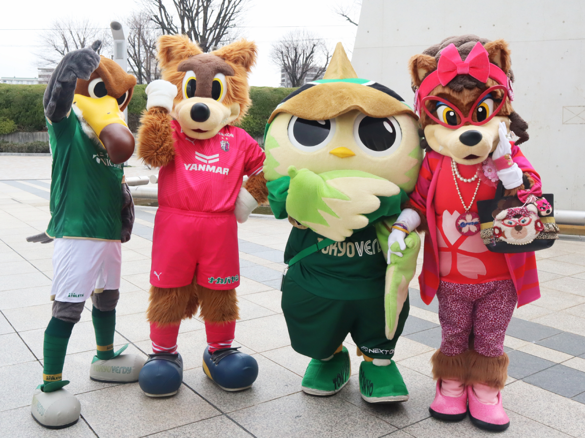 東京ヴェルディ　6点セット 公式】ハイライト：東京ヴェルディvsセレッソ大阪 明治安田J1