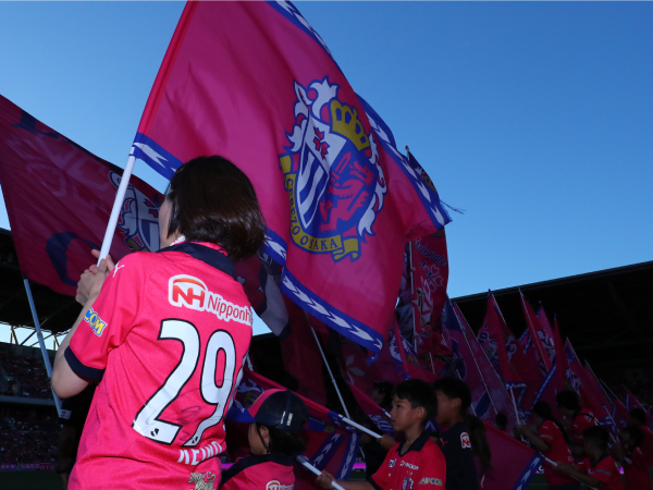 フラッグベアラー、フラッグシンフォニー、スタジアムツアー