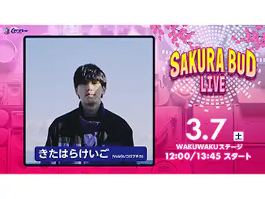 SAKURA BUD LIVE実施のお知らせ