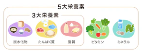 抜け毛予防に役立つ食事と栄養素