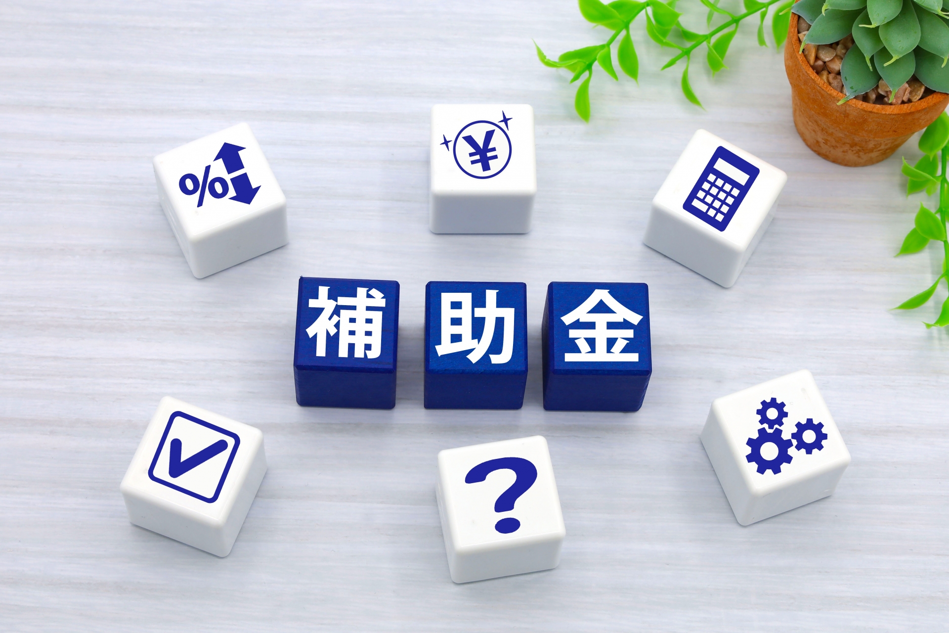 アイキャッチ画像