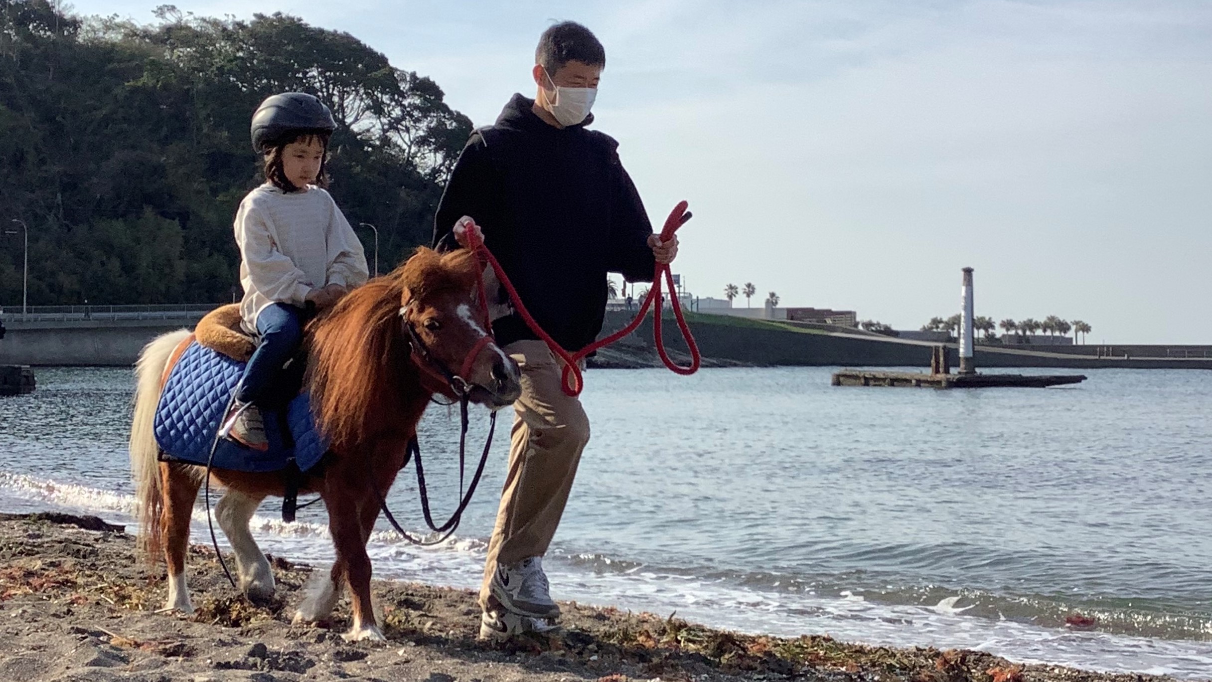 ポニーに乗ってビーチを散歩しよう!ホーストレッキング観音崎海岸