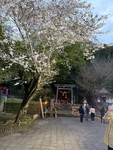 照日神社境内を彩ります