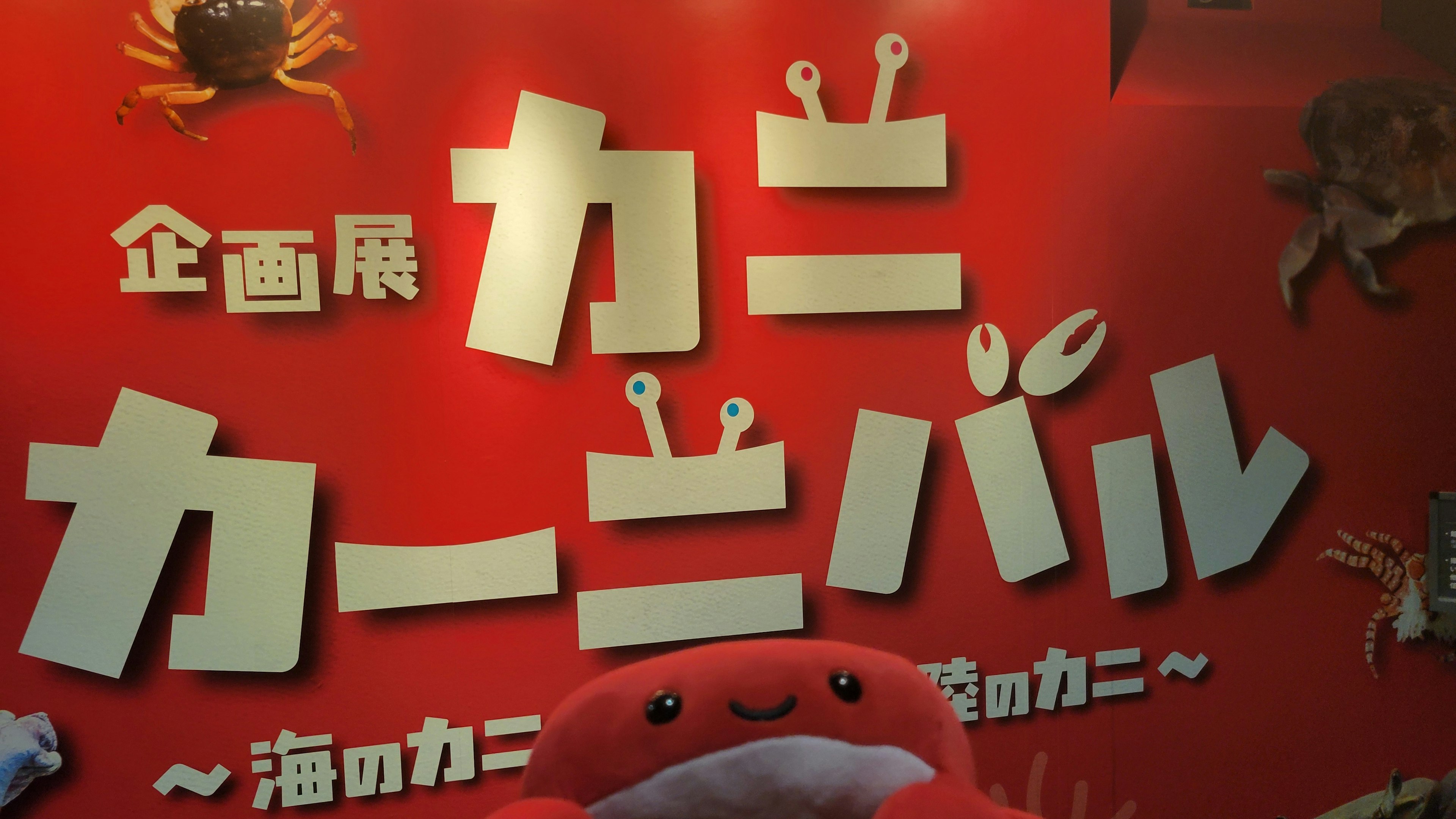【活動記録】 アクア・トトぎふ「カニカーニバル」へ行ってきました