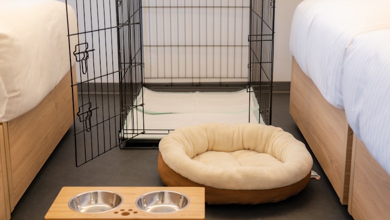 寵物狗友好公寓房（4張單人床）