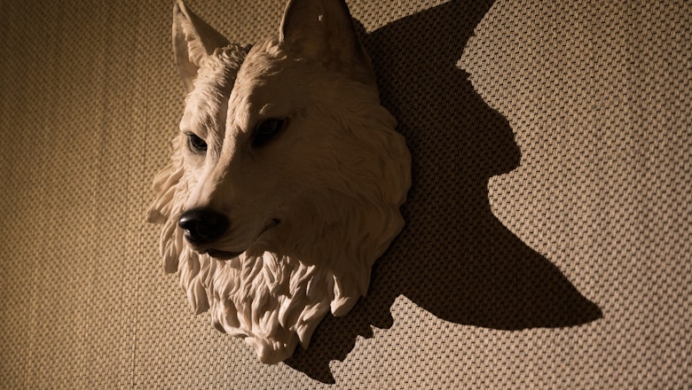 Werewolf and Murder Mystery Room