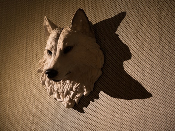 Werewolf and Murder Mystery Room