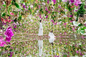 teamLab, Floating Flower Garden: Flowers and I are of the Same Root, the Garden and I are One © teamLab