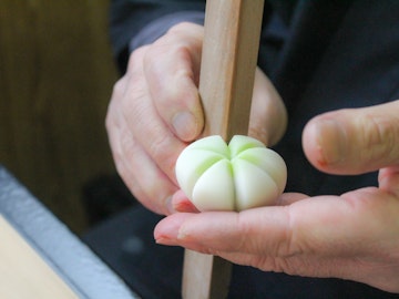 A Sweet Trip to Wagashi World