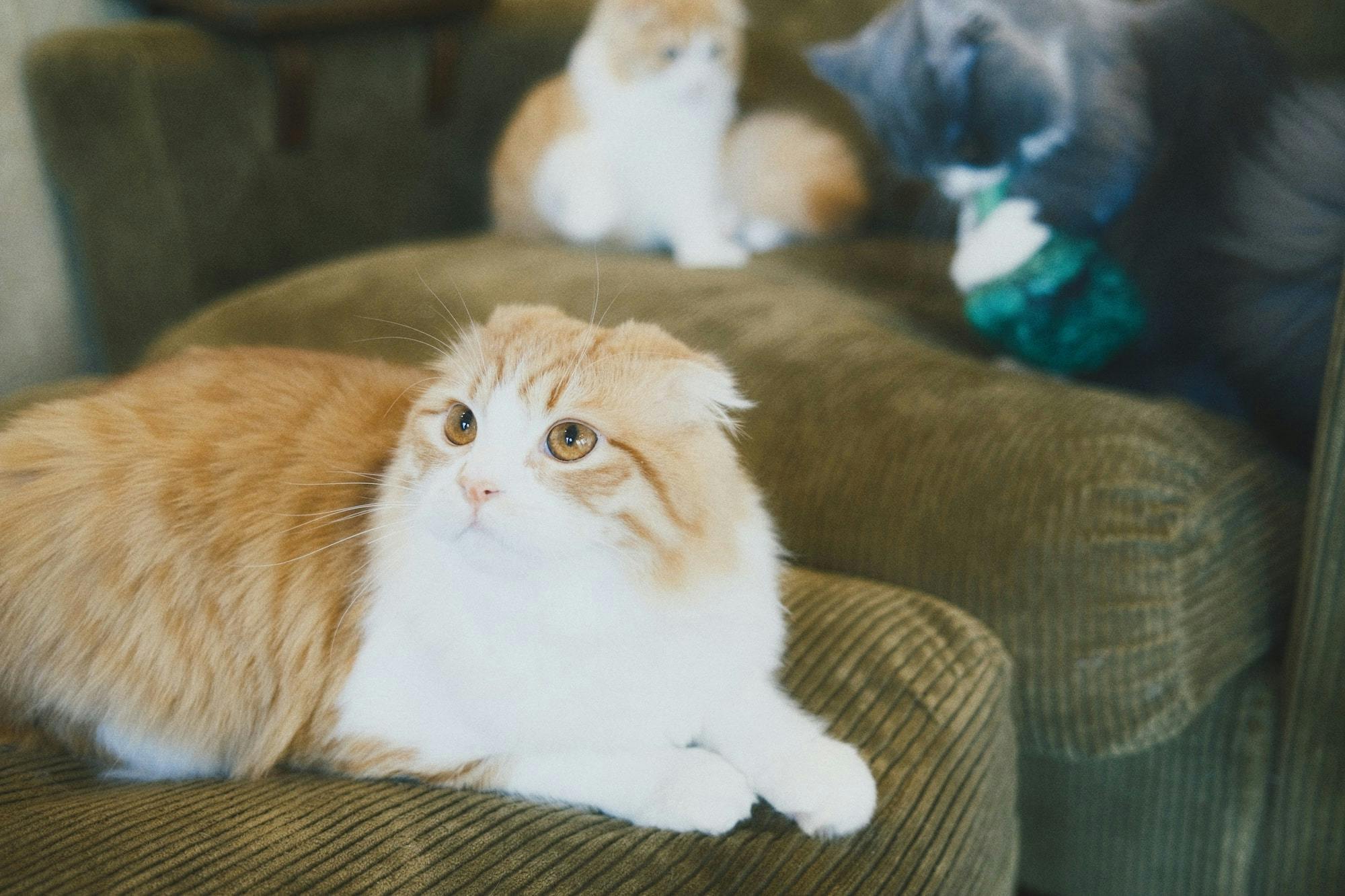 「90/365」のサムネイル画像です