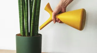 初心者必見！観葉植物4種類の正しい水やり方法のアイキャッチ