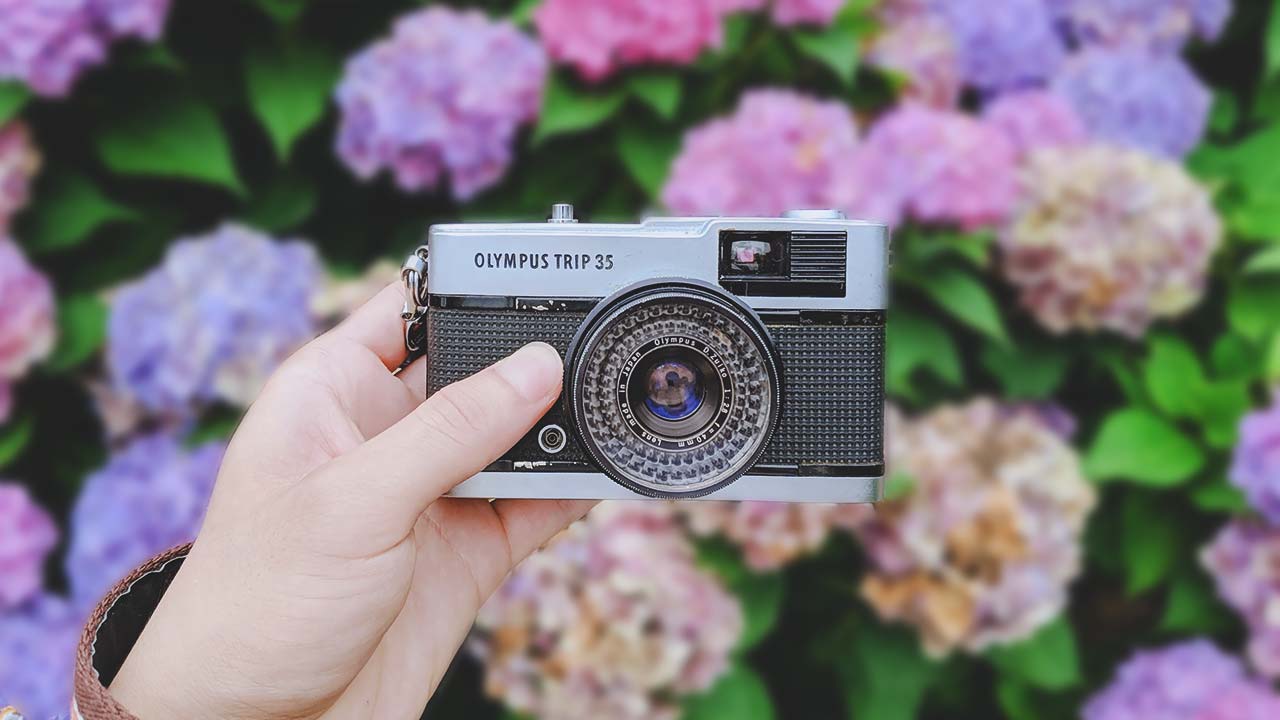 【選び方】コンパクトフィルムカメラを写ルンですの代わりに使う