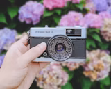 【選び方】コンパクトフィルムカメラを写ルンですの代わりに使う