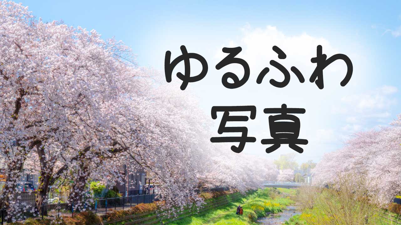 Lightroomでゆるふわな写真へ現像する方法【簡単】