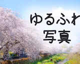 Lightroomでゆるふわな写真へ現像する方法【簡単】