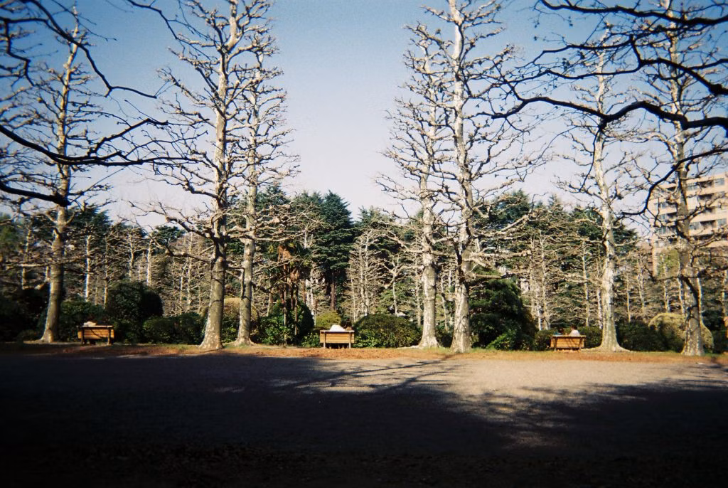 フィルムの色