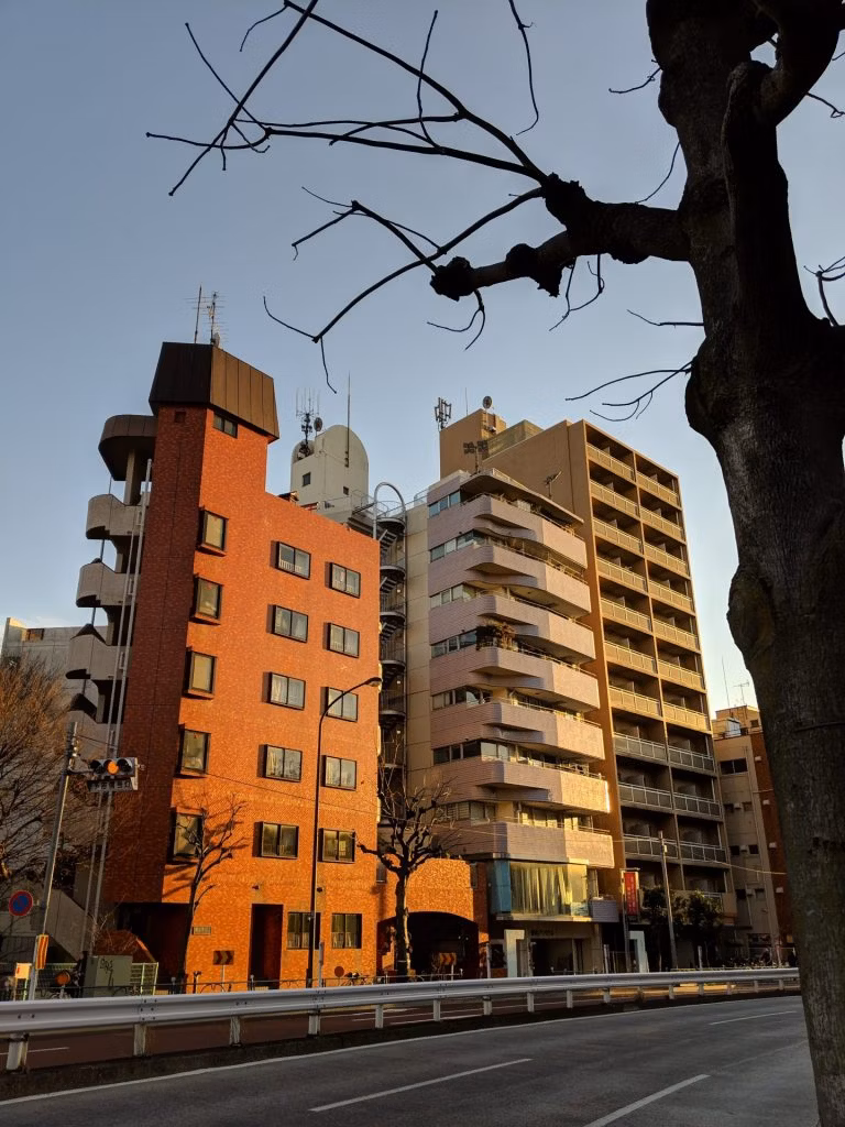 夕暮れのシーン(pixel3で撮影)