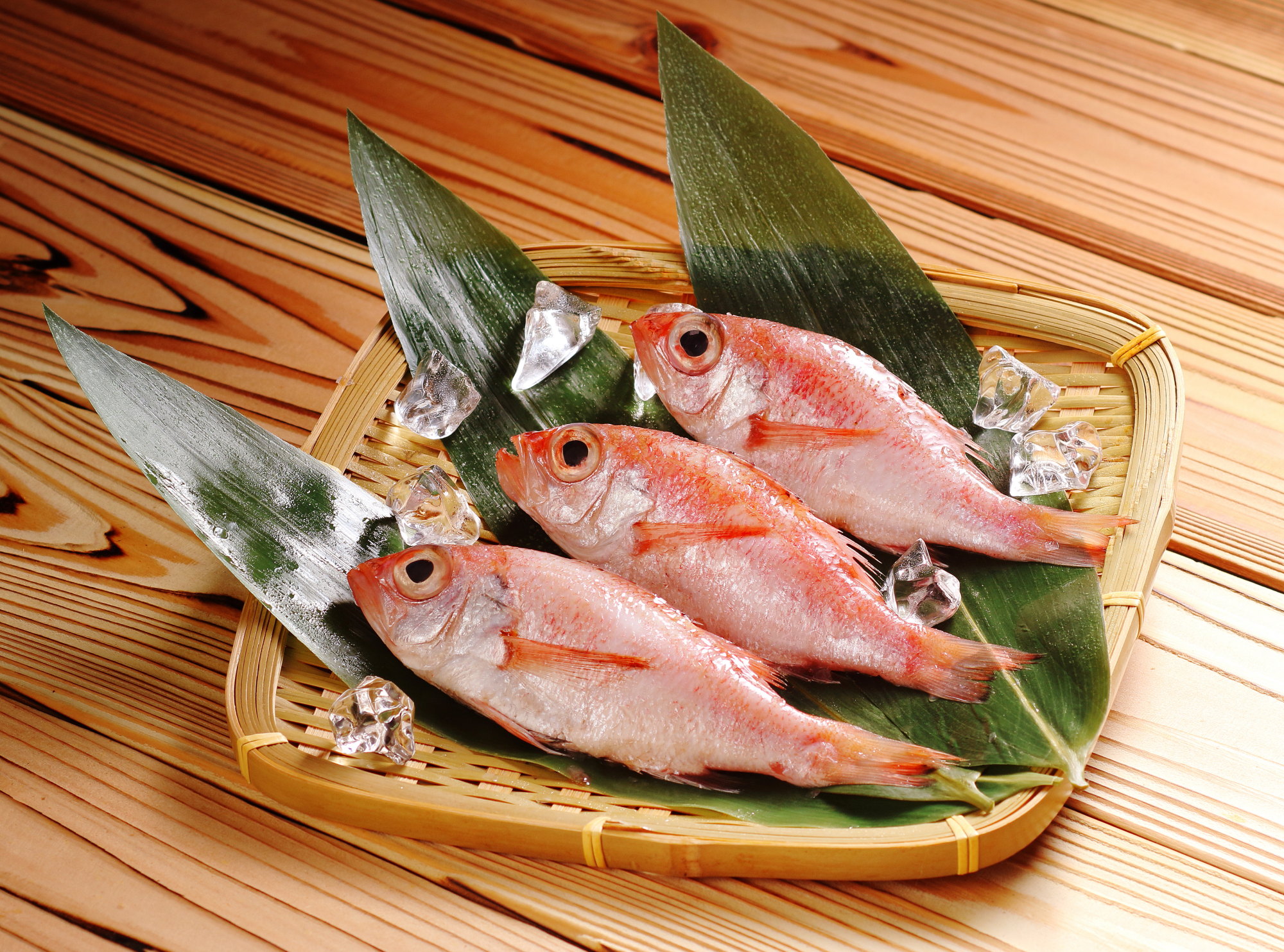 島根の食文化探訪！新鮮な海鮮と絶品グルメを堪能する旅