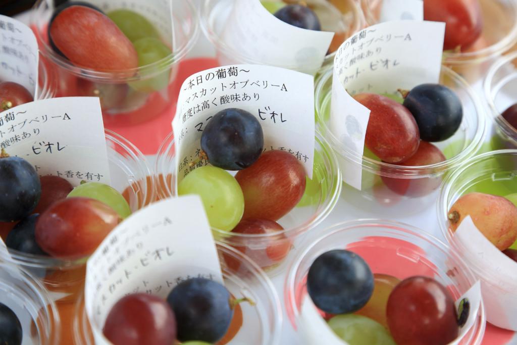 日本山梨县必买特产推荐：富士山正宗风味最佳伴手礼热门精选