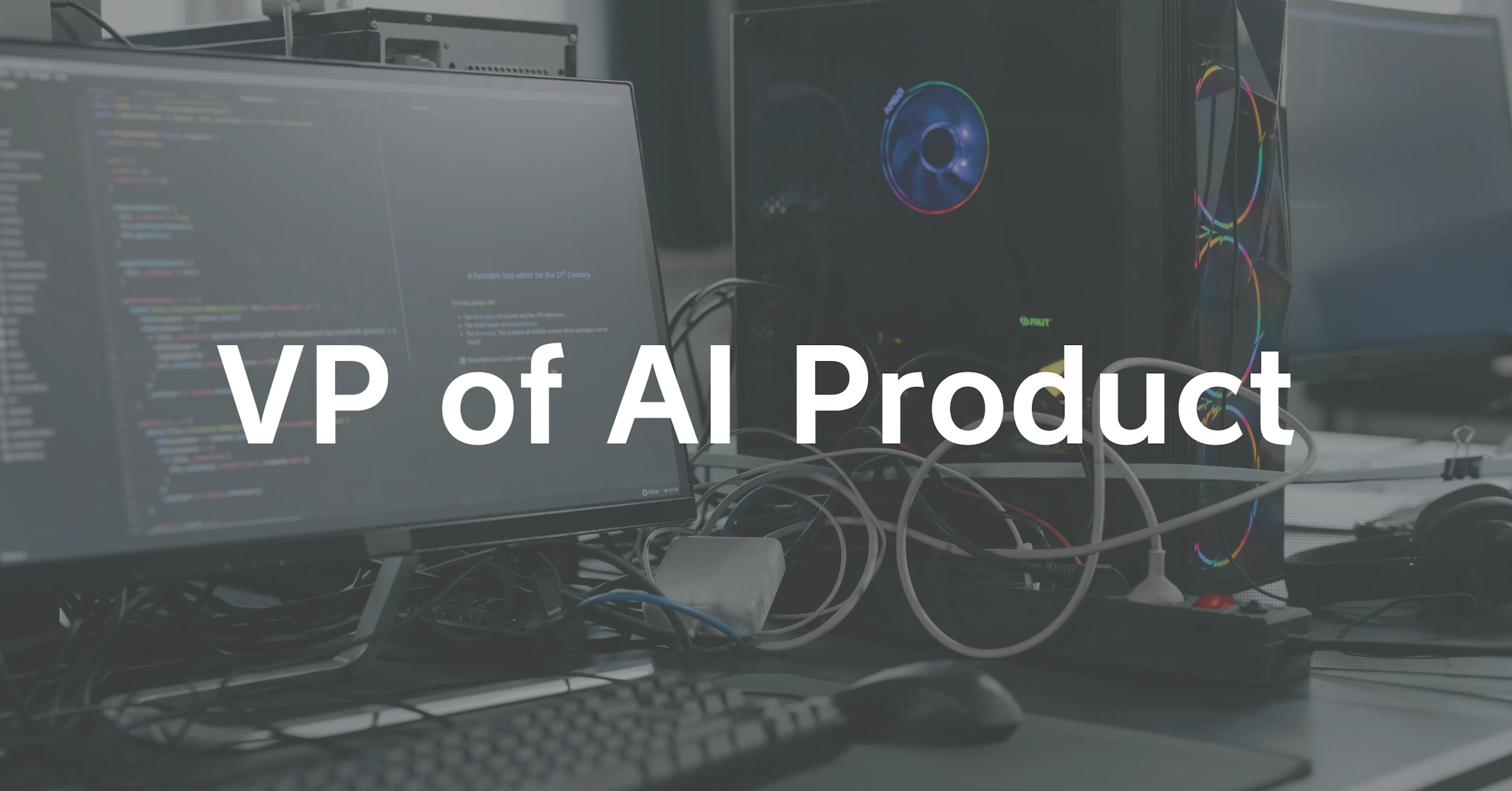 VP of AI Product（正社員）