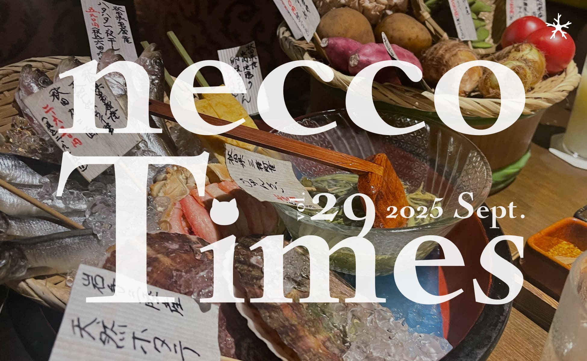 necco Timesアイキャッチ別案