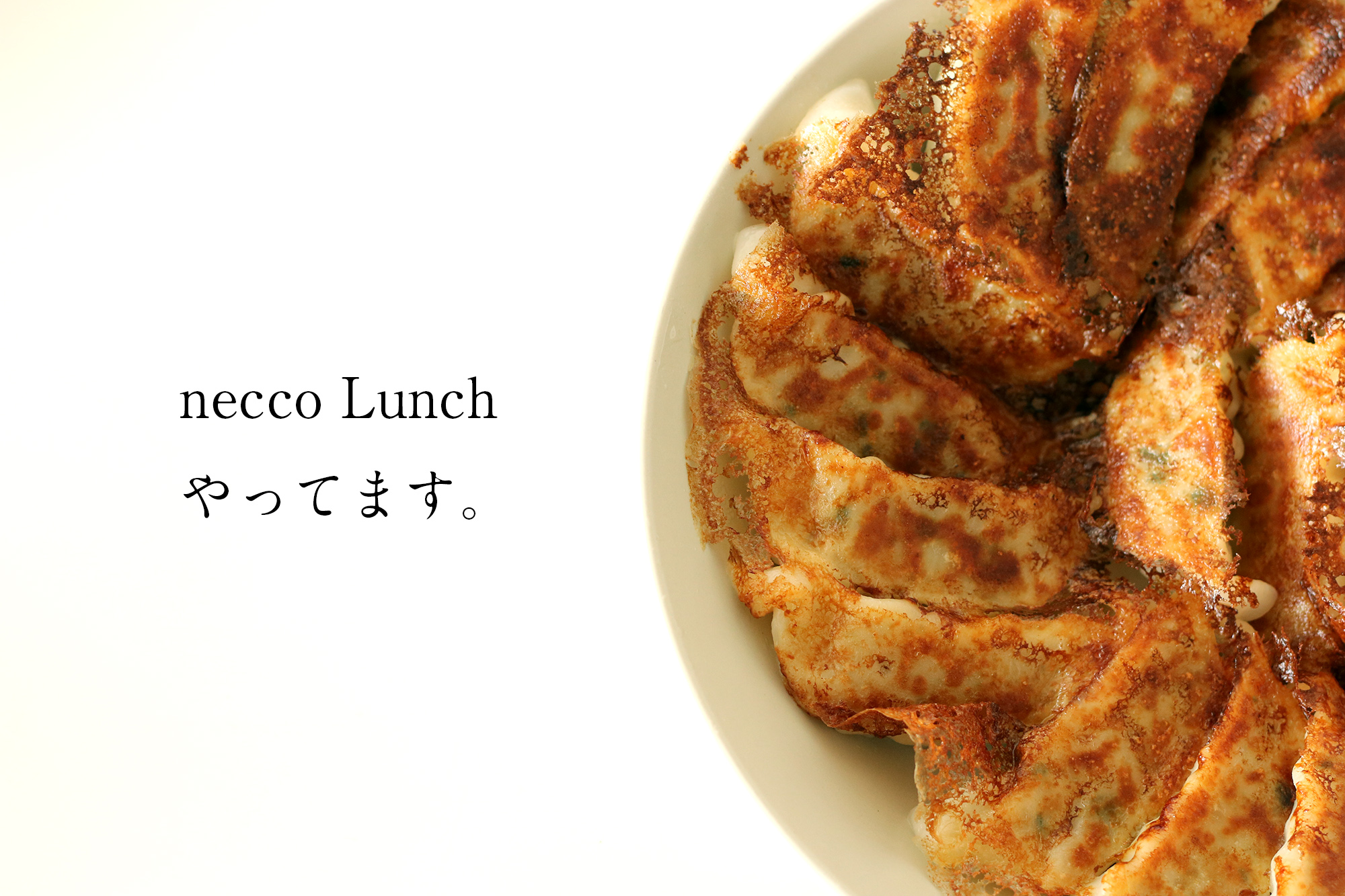 みんなで作って楽しく食べてます！「necco Lunch」いかがですか？