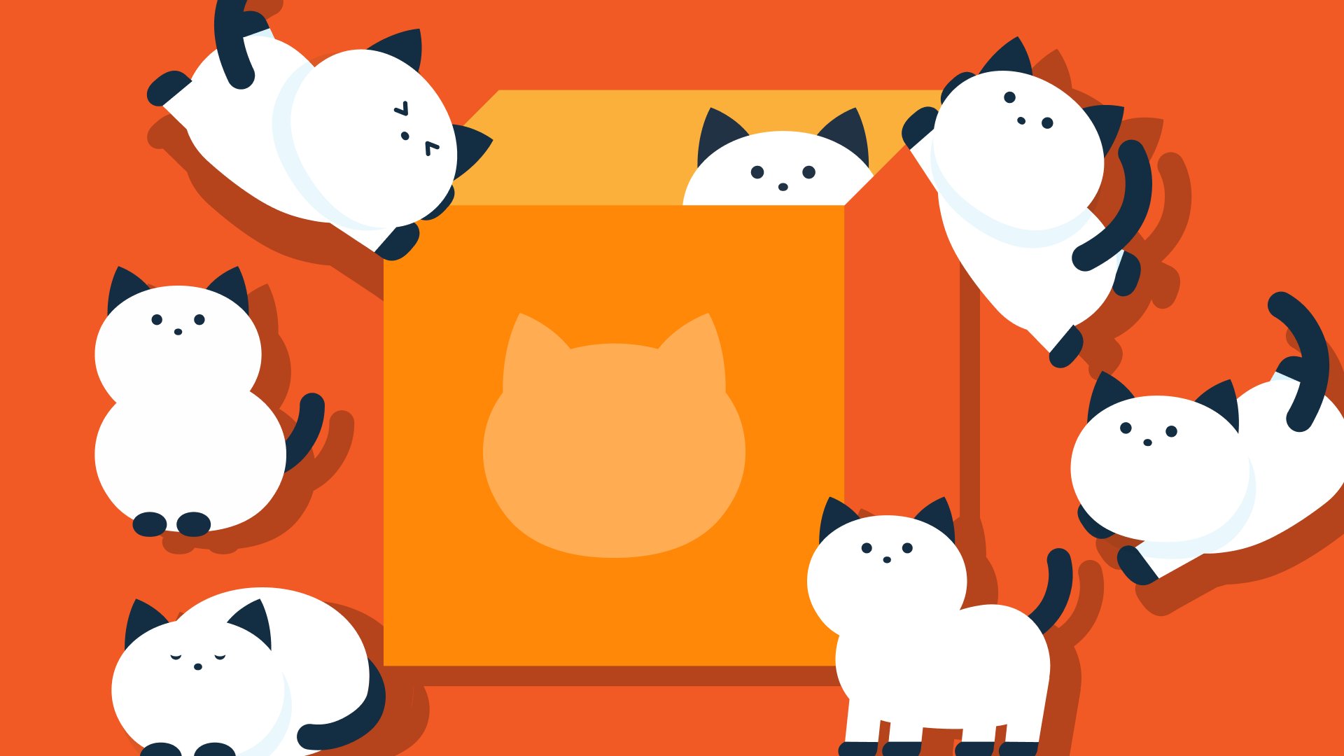 箱猫ちゃん大集合〜!