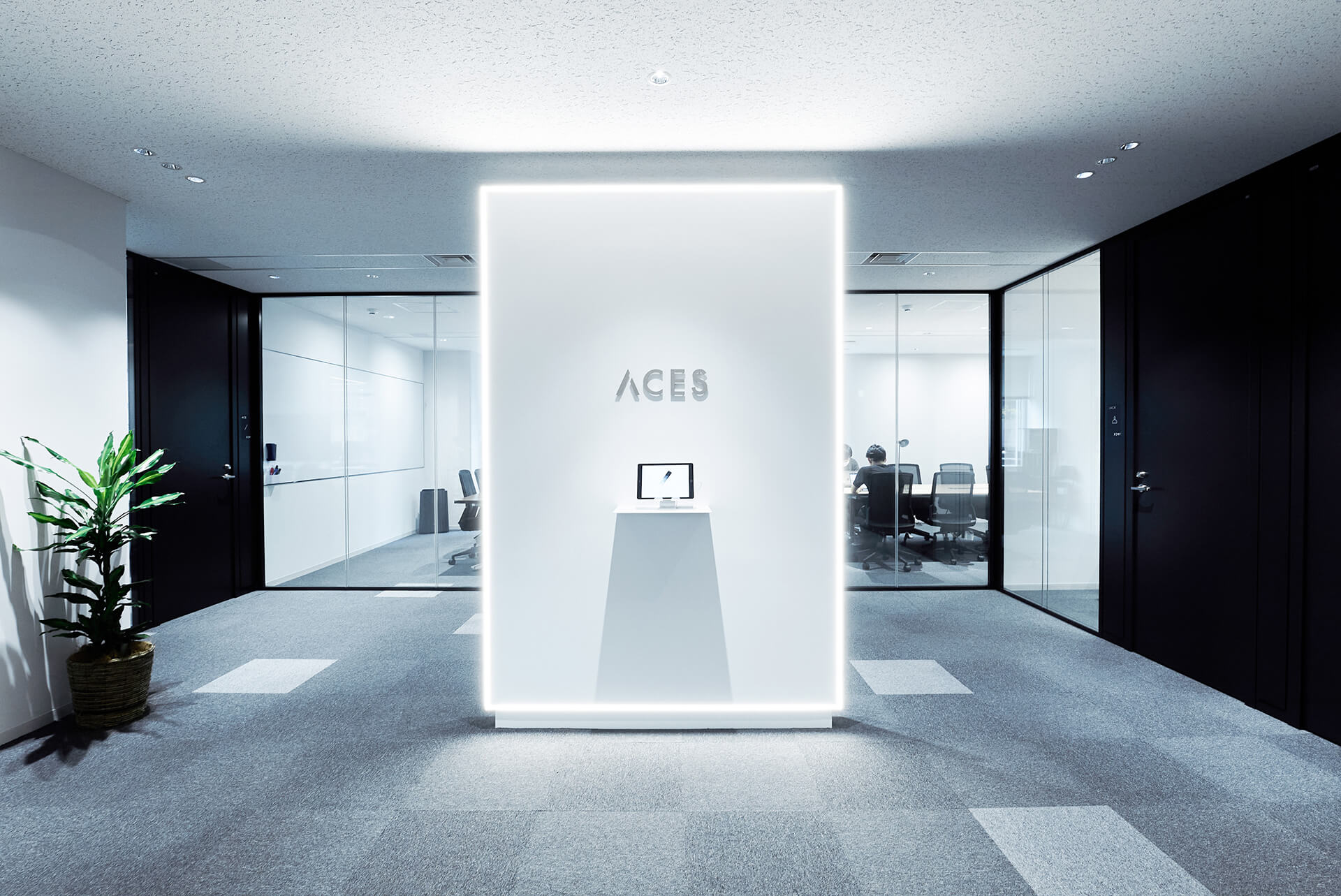 実績 ACES 撮影写真