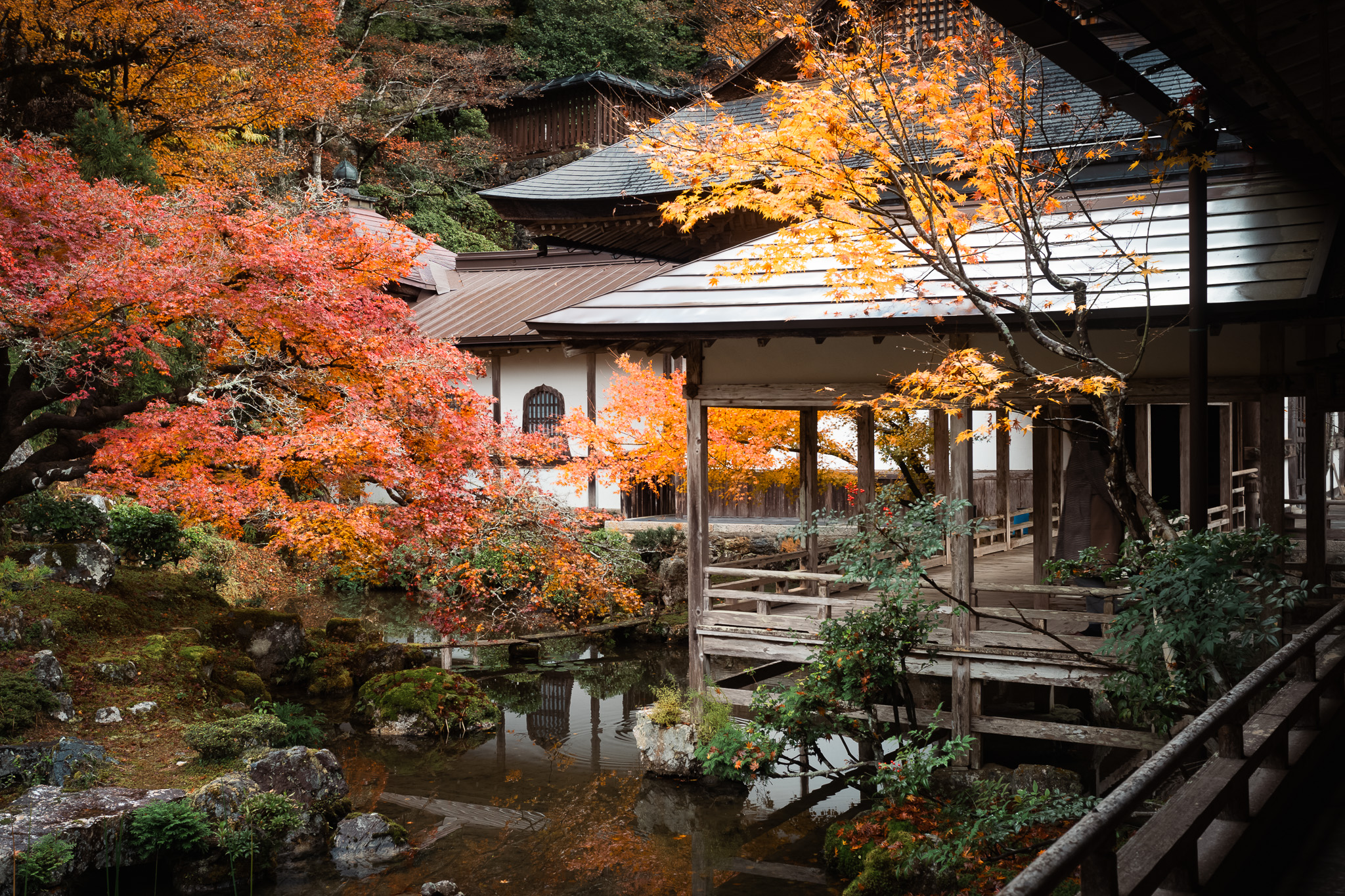 常照皇寺方丈北の庭園と池