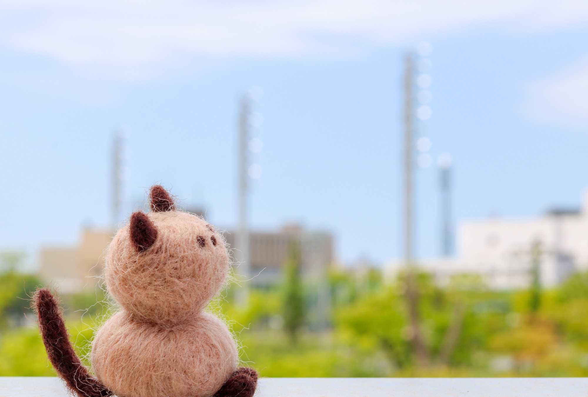 紙やウェブだけじゃない、これからの「編集」の考えかた