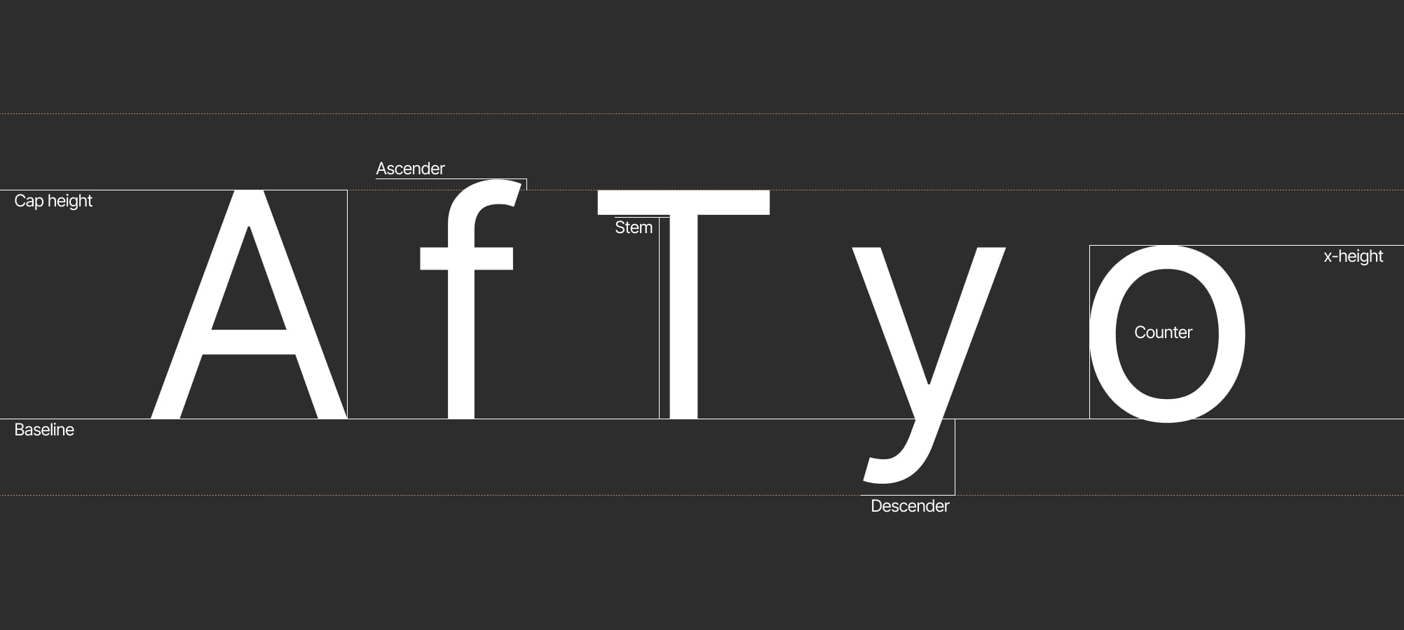 タイポグラフィの解剖図。キャップハイト、ベースライン、アセンダー、ディセンダー、xハイトなどの文字構造と用語を示す解説画像。
