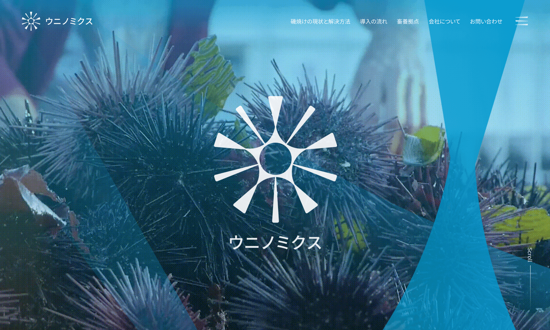 ウニノミクスの実績紹介用画像