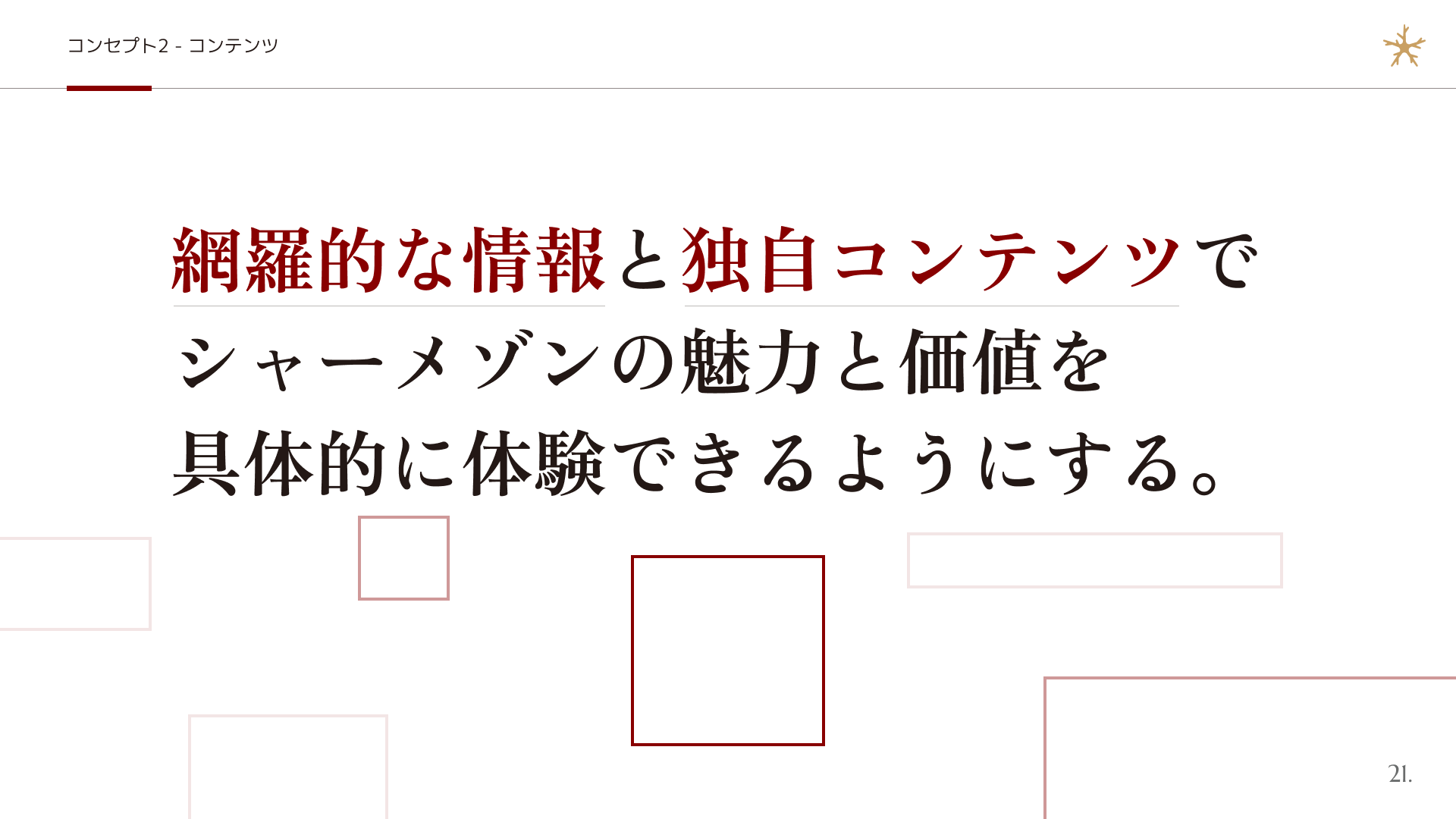 シャーメゾンサイトリニューアルにおけるコンテンツの方針