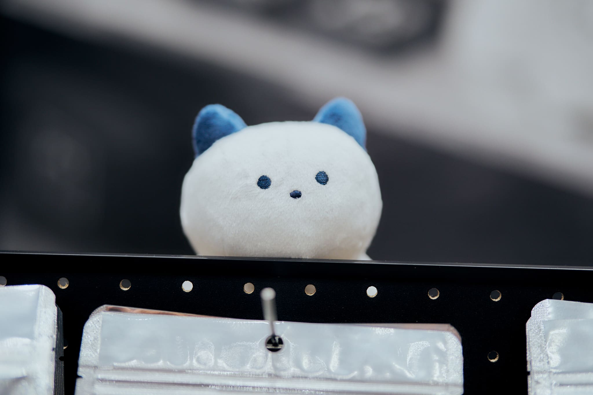 箱猫ちゃんぬいぐるみ
