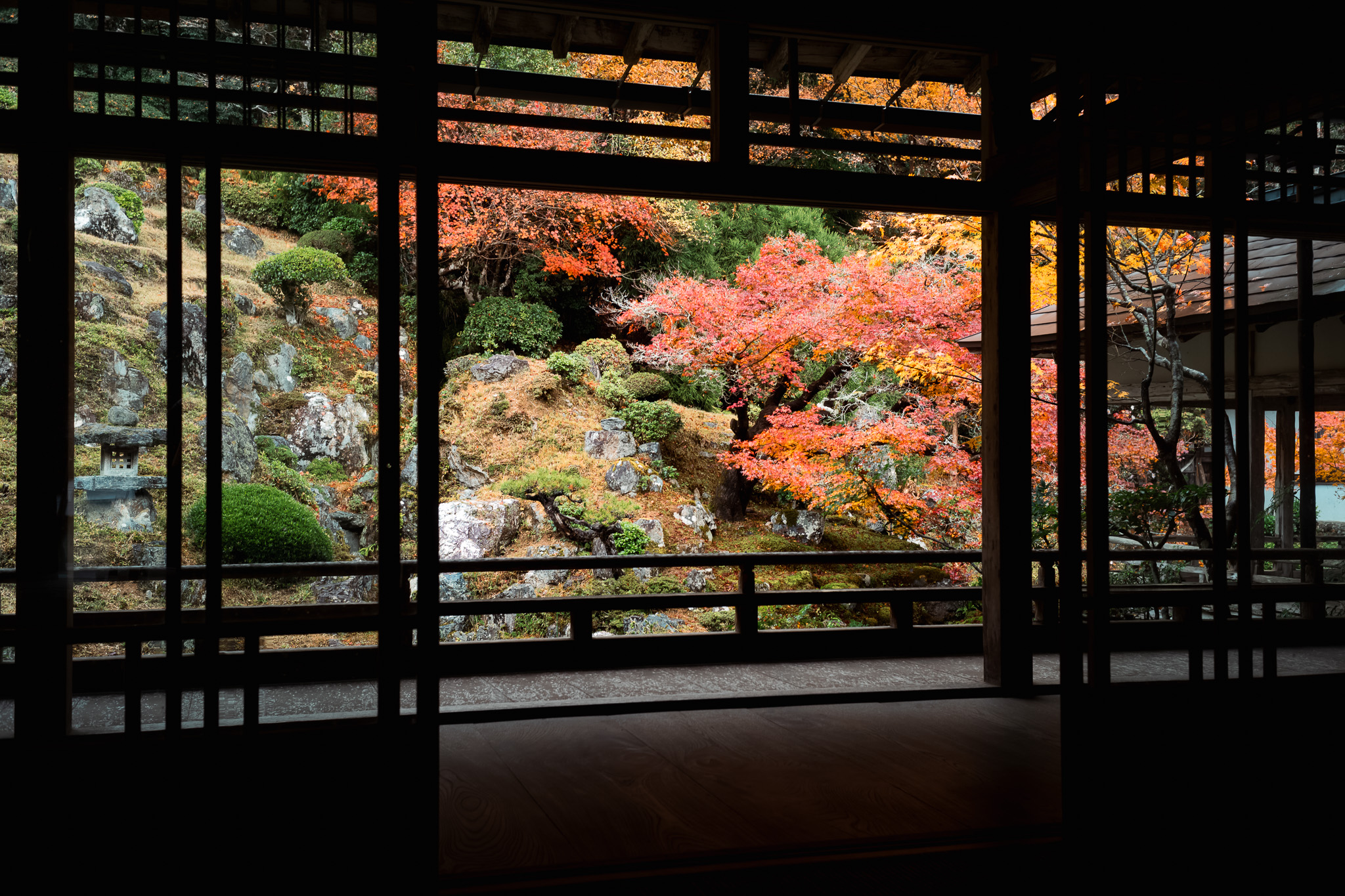 常照皇寺方丈北の庭園