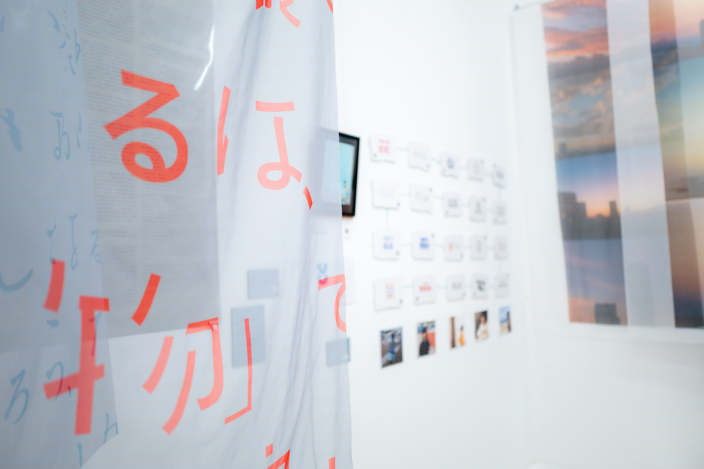 展示全体