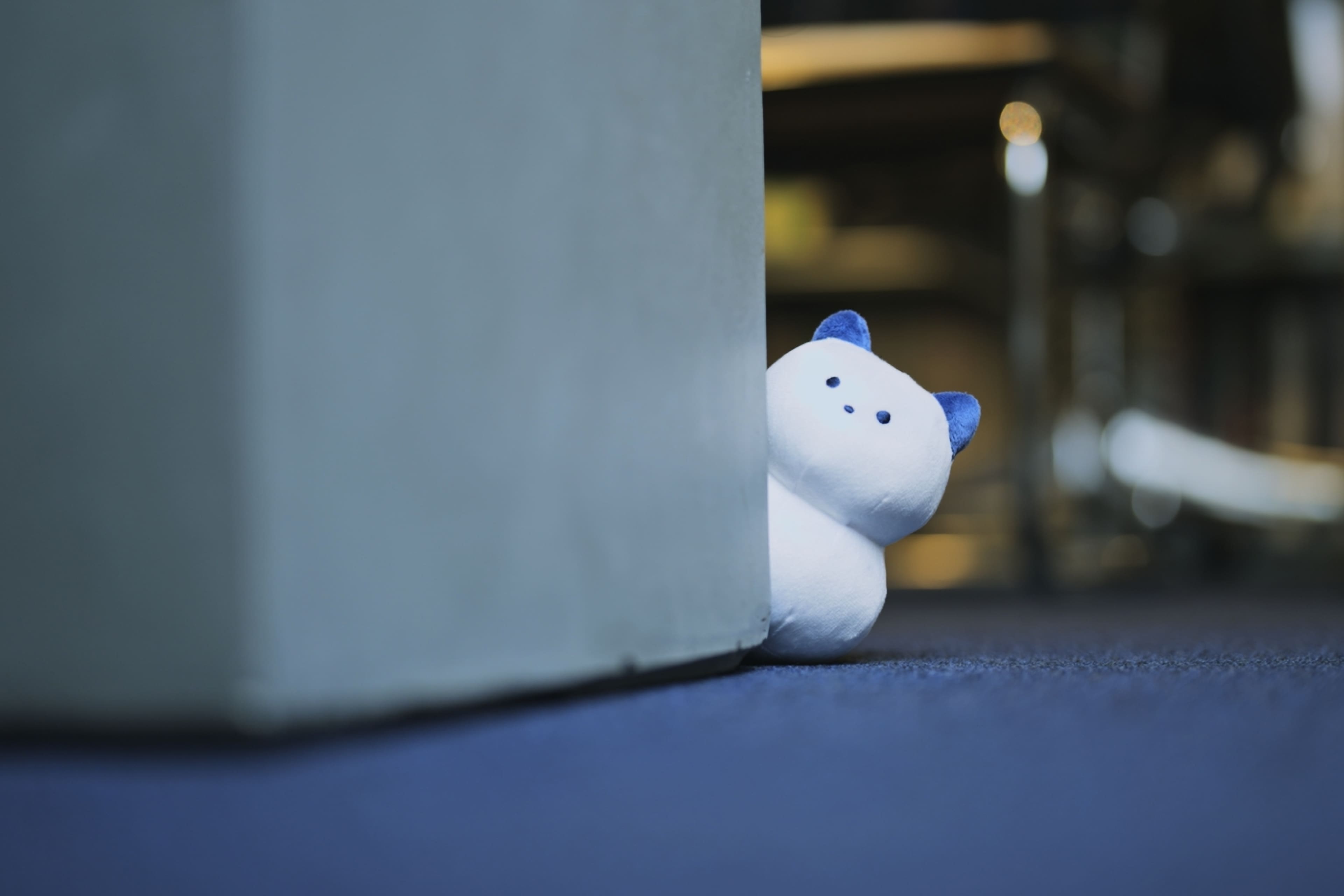 ひょっこり箱猫ぬいぐるみ