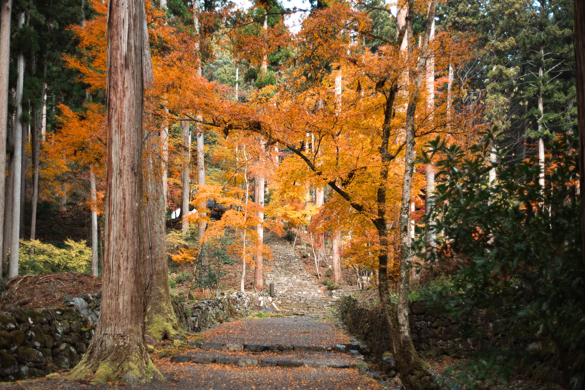 栂尾山「高山寺」の階段