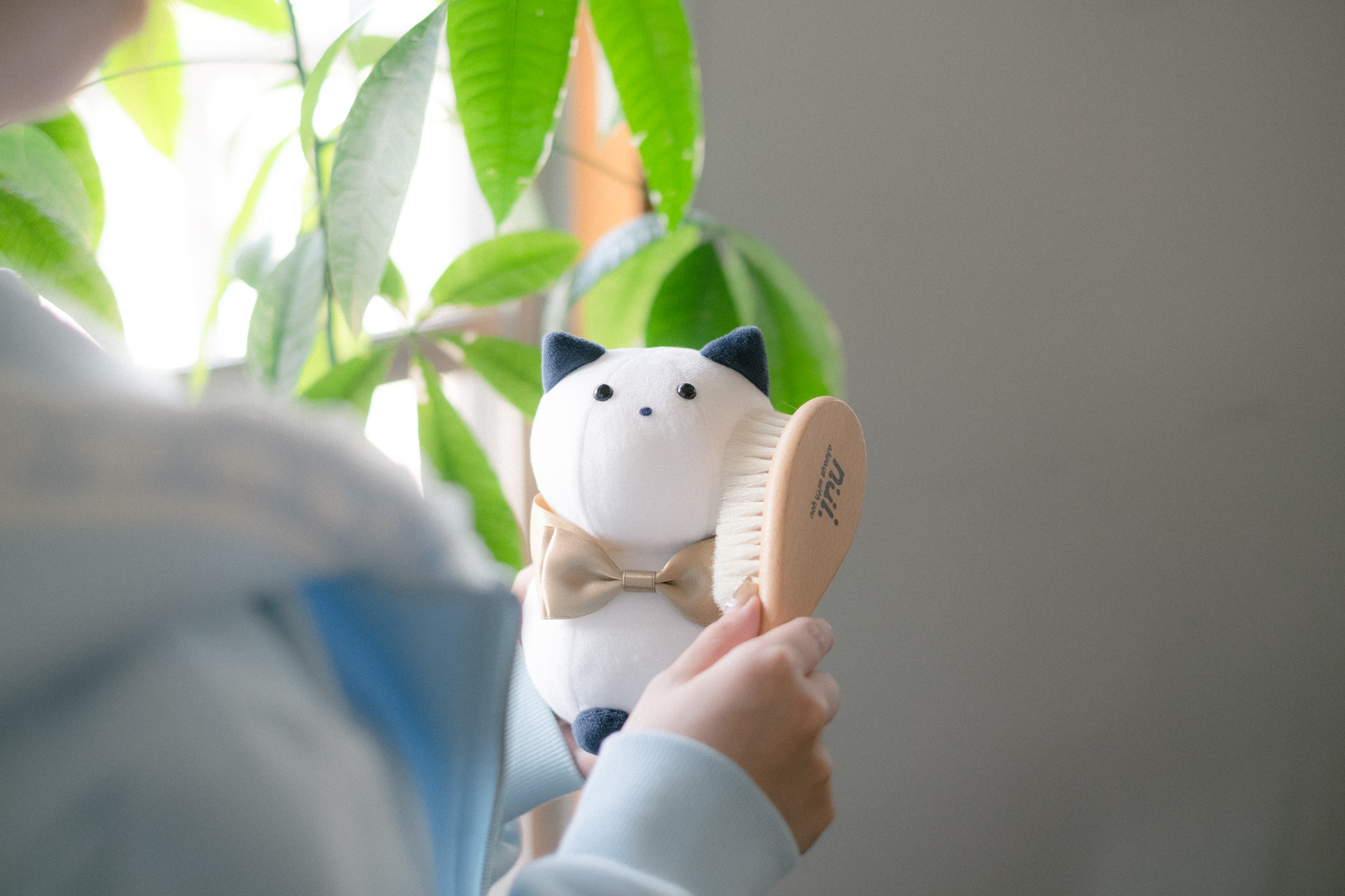 箱猫Xの投稿まとめ「写真・動画編」2025年6月〜10月の全16投稿