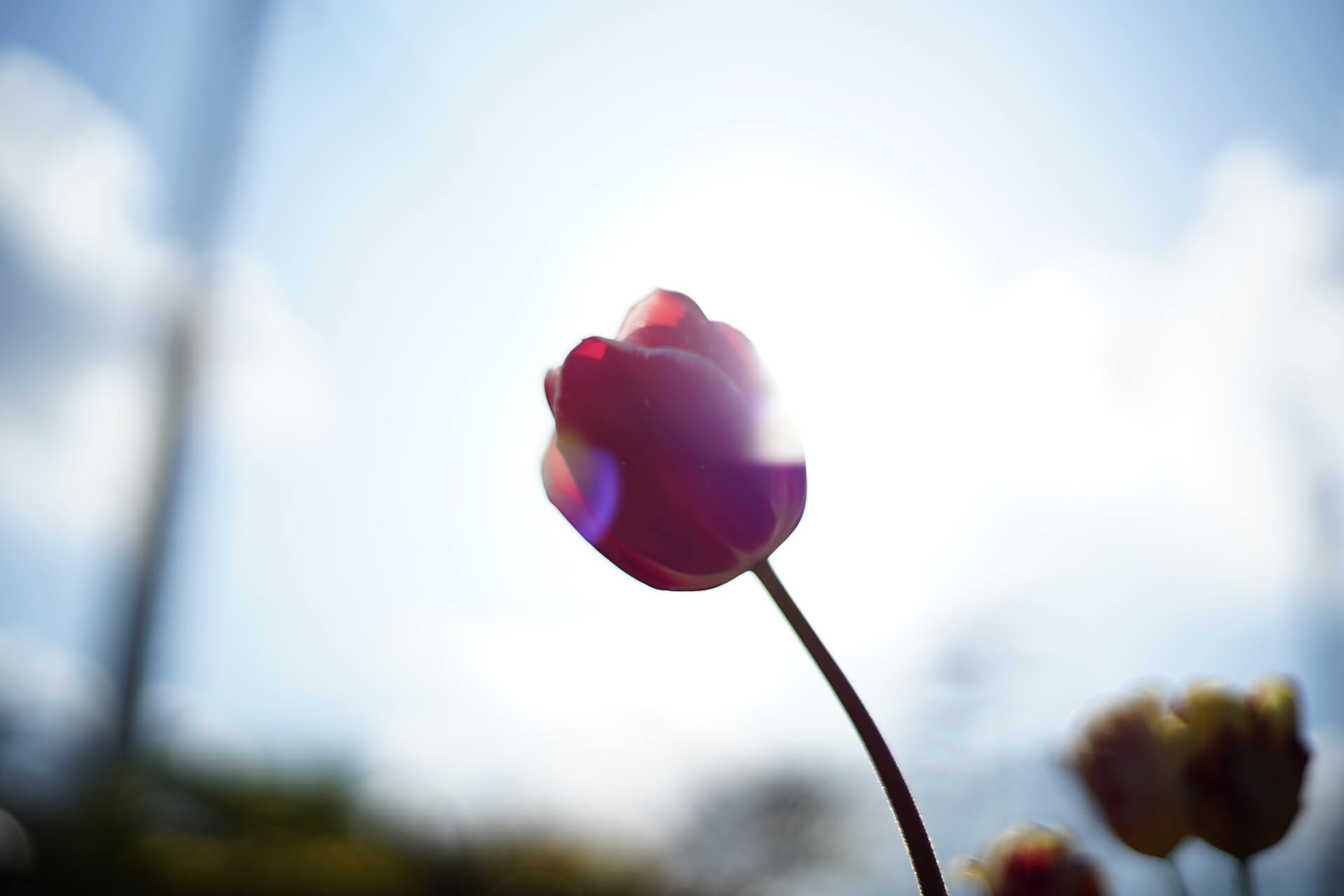 necco写真展春