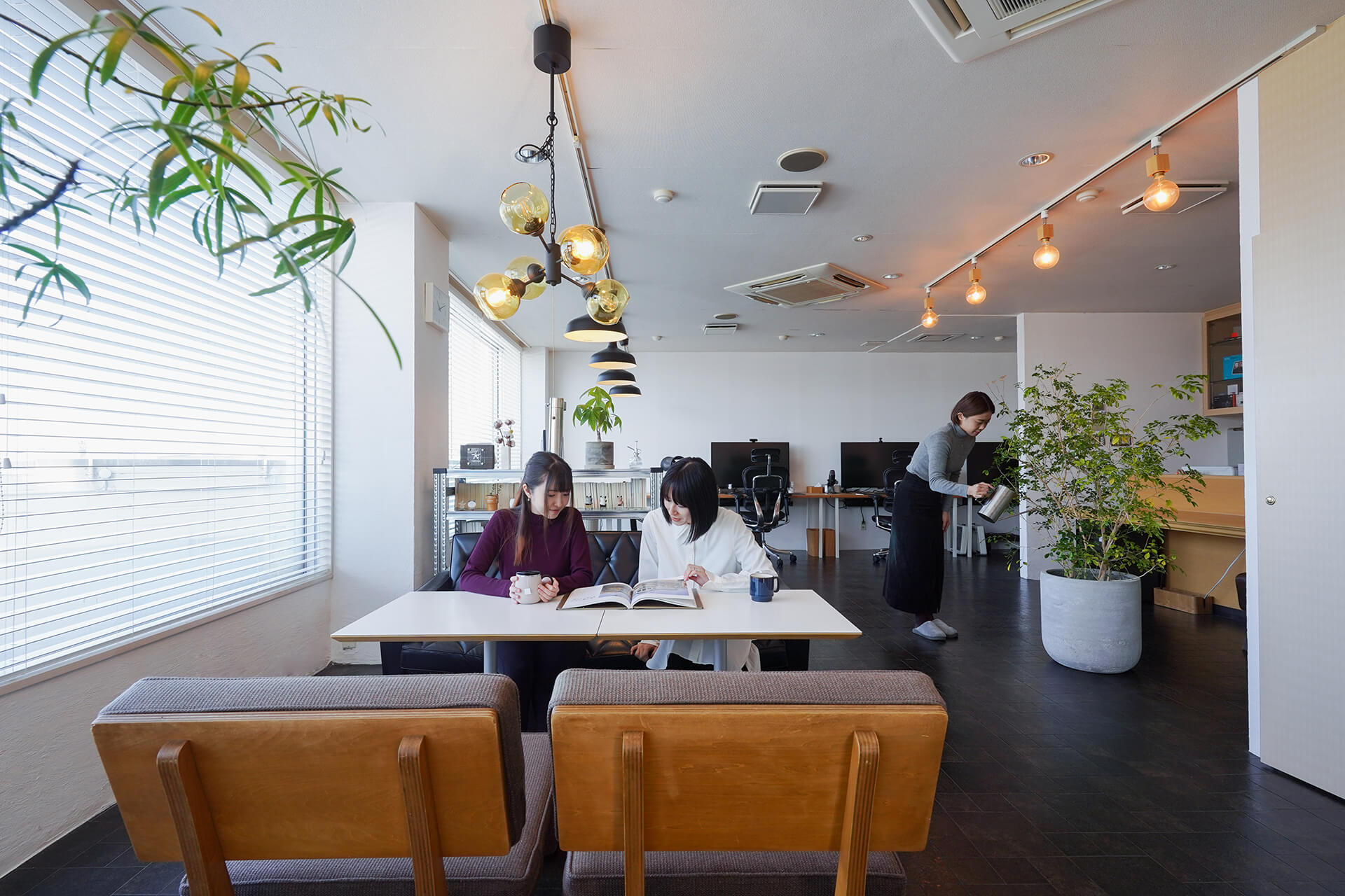 necco Akita Office 2023 vol.3