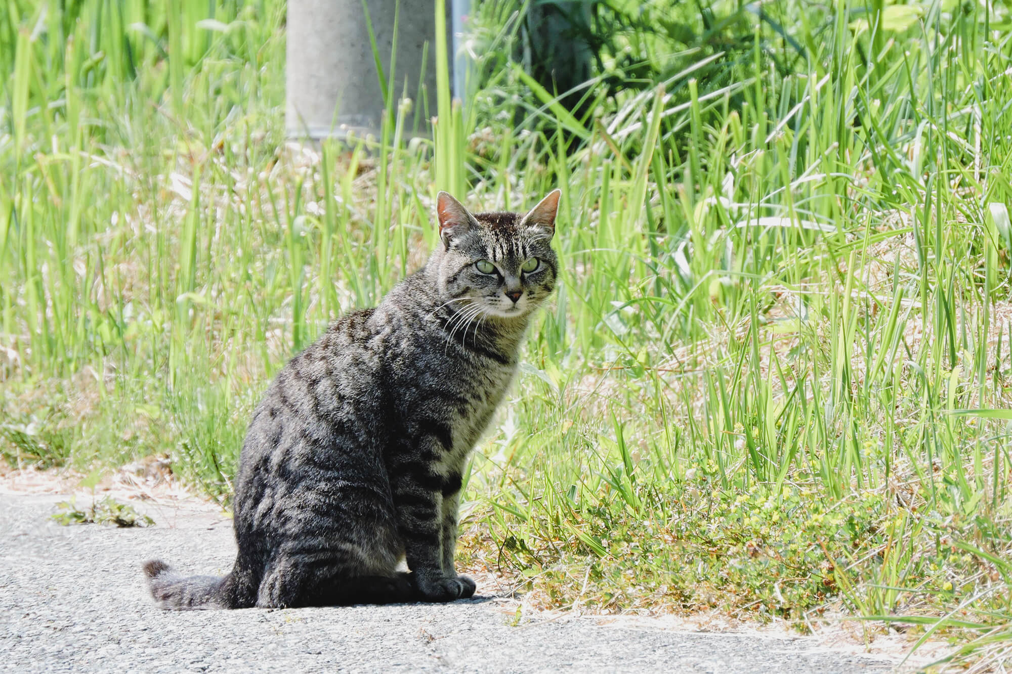necco写真展春