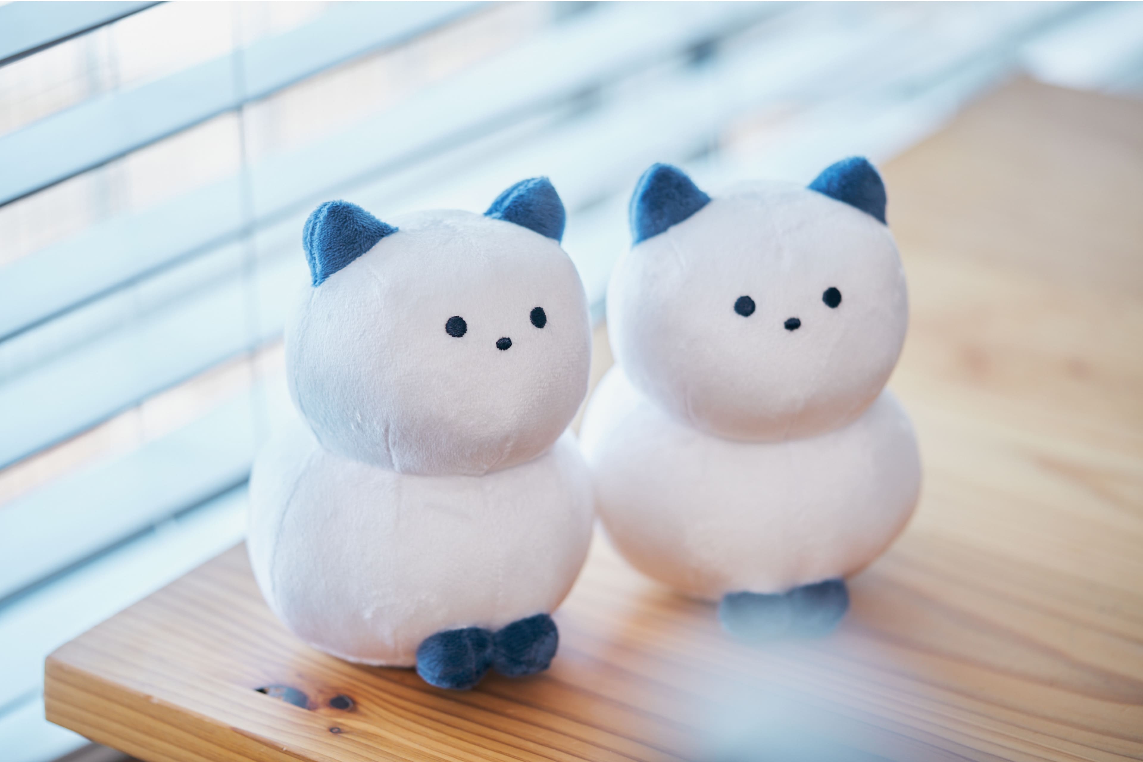 箱猫ぬいぐるみ