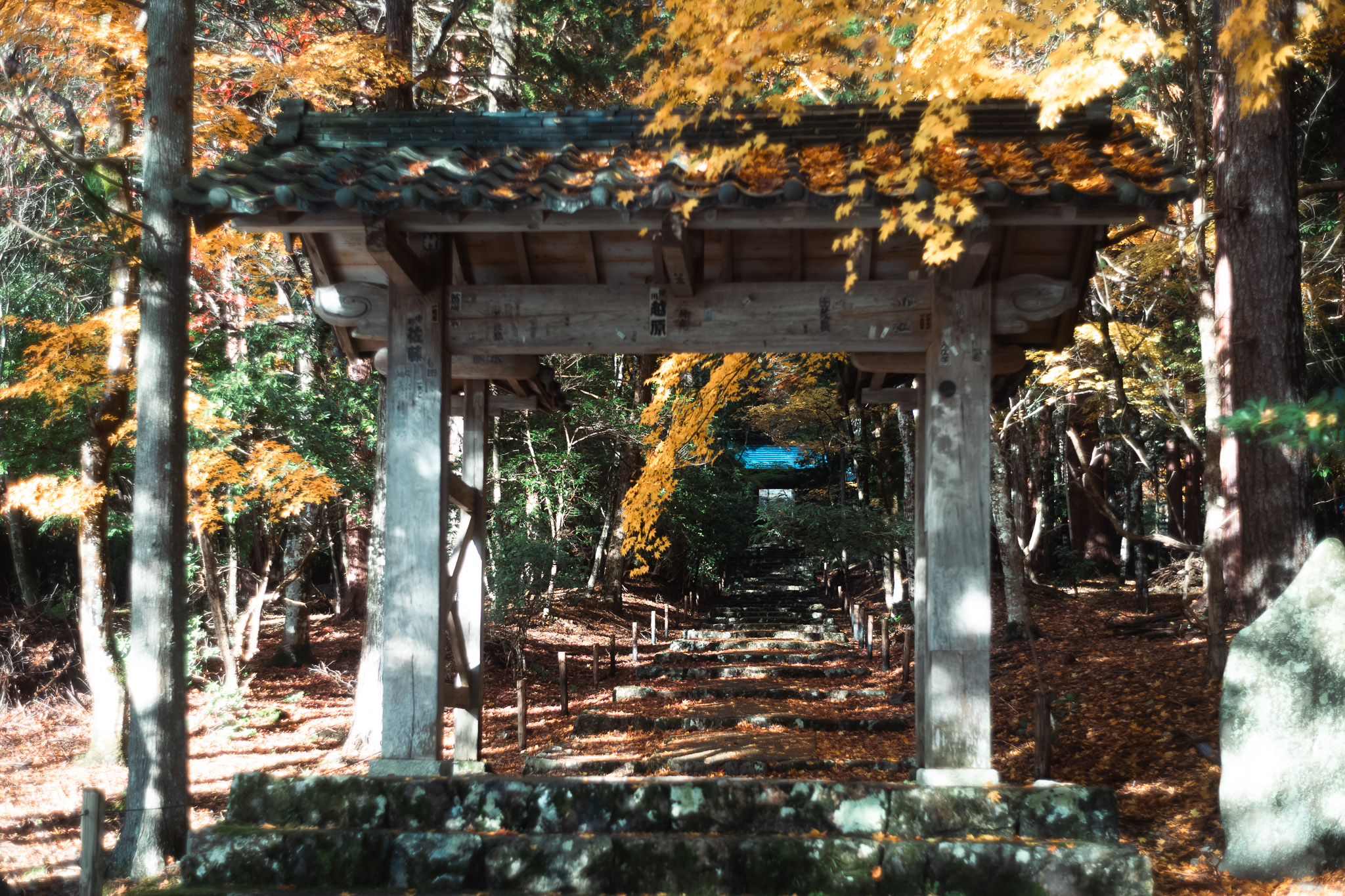 常照皇寺山門