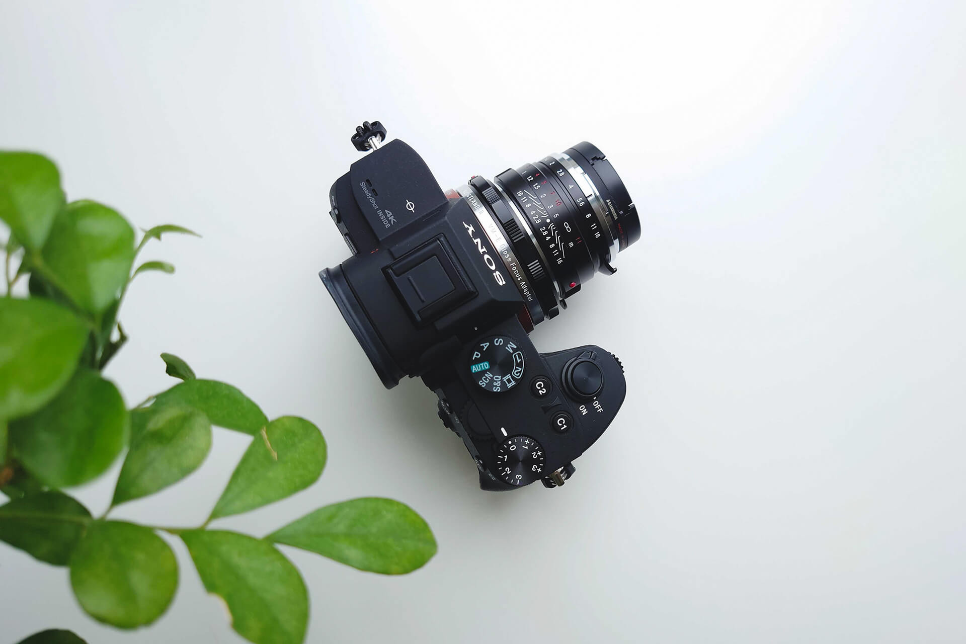 オールドレンズのような柔らかさと、現代的な解像力。写真の楽しみ方が