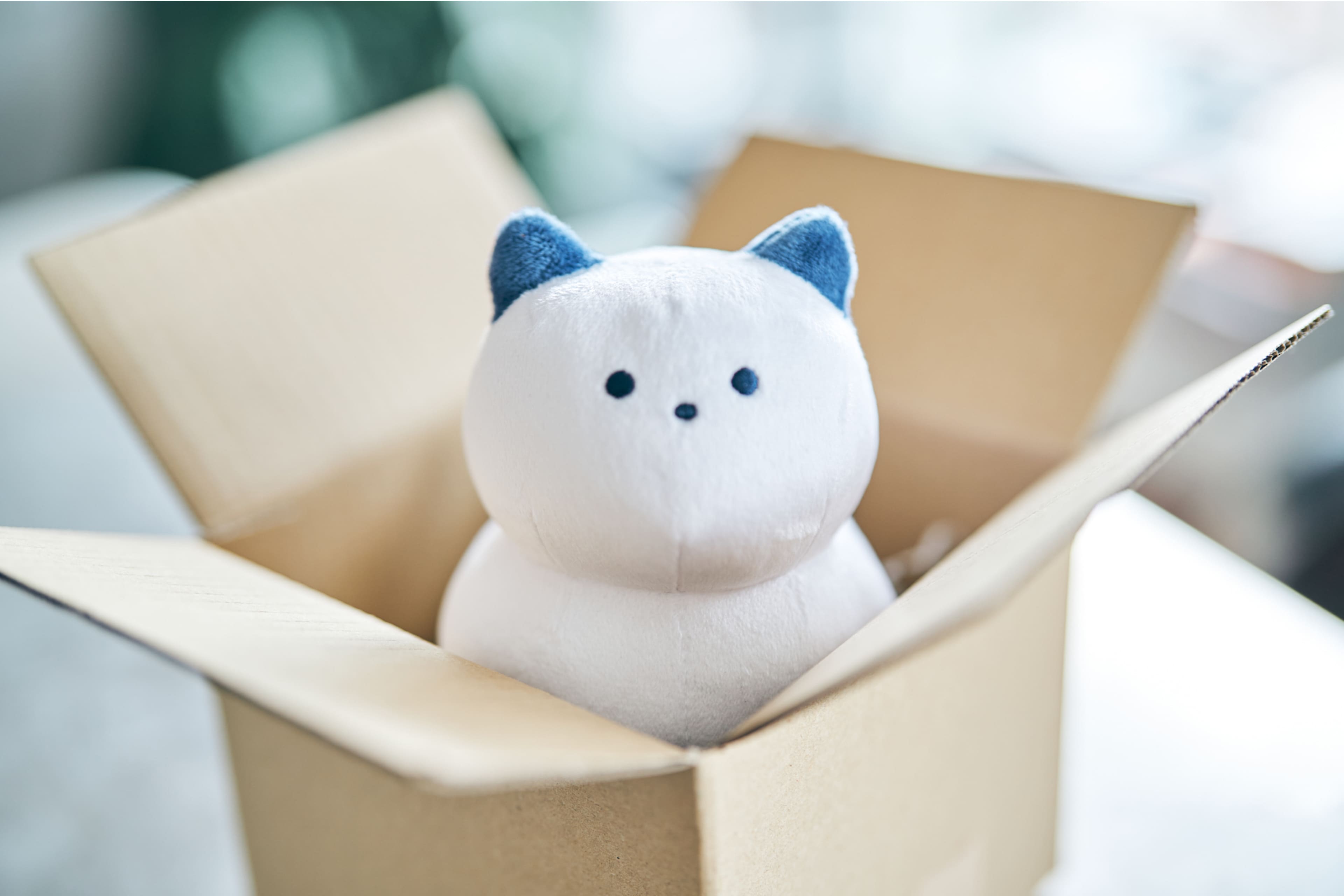 箱猫ぬいぐるみ