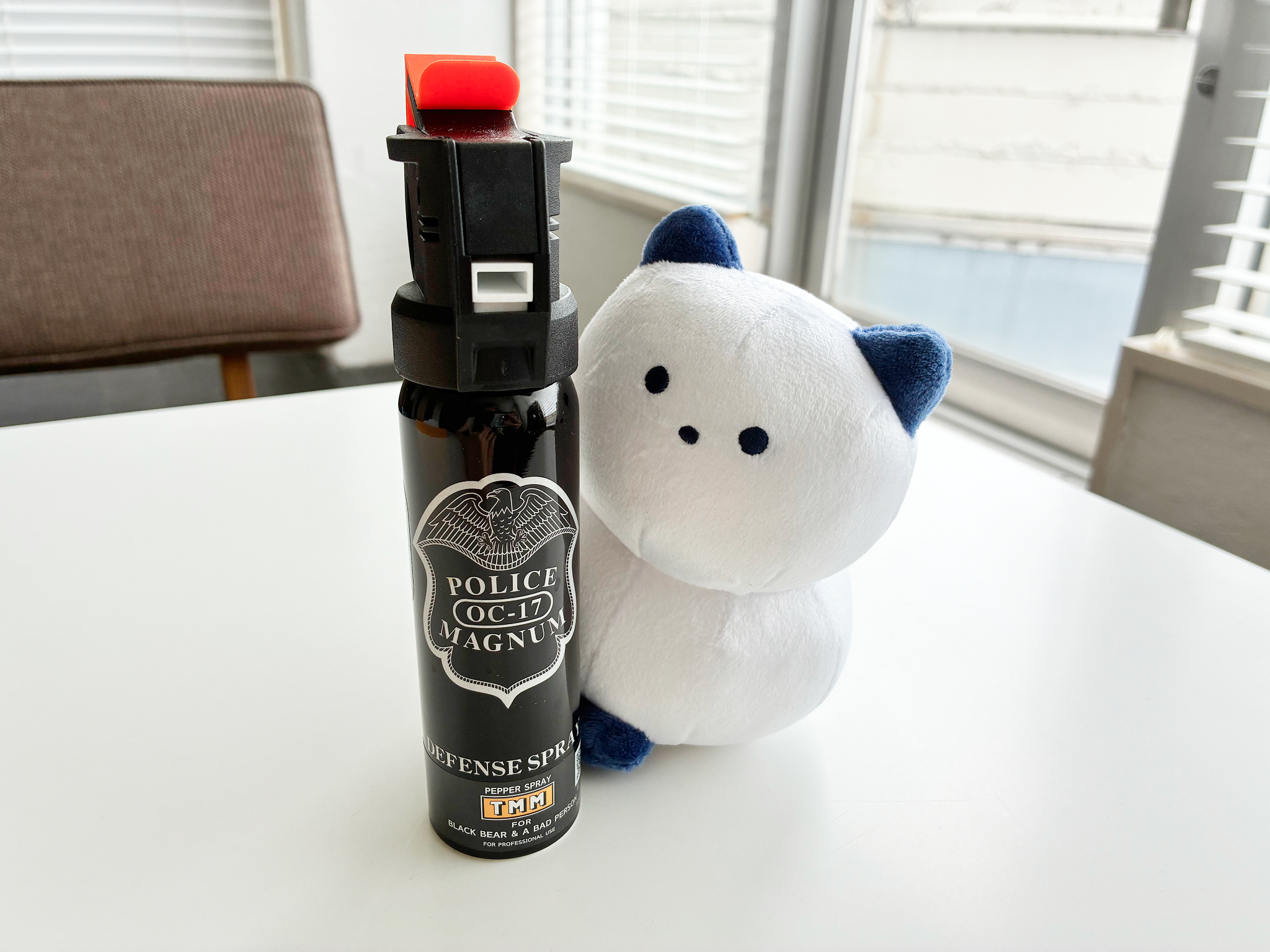 熊撃退スプレーから覗き込む箱猫ちゃんの写真