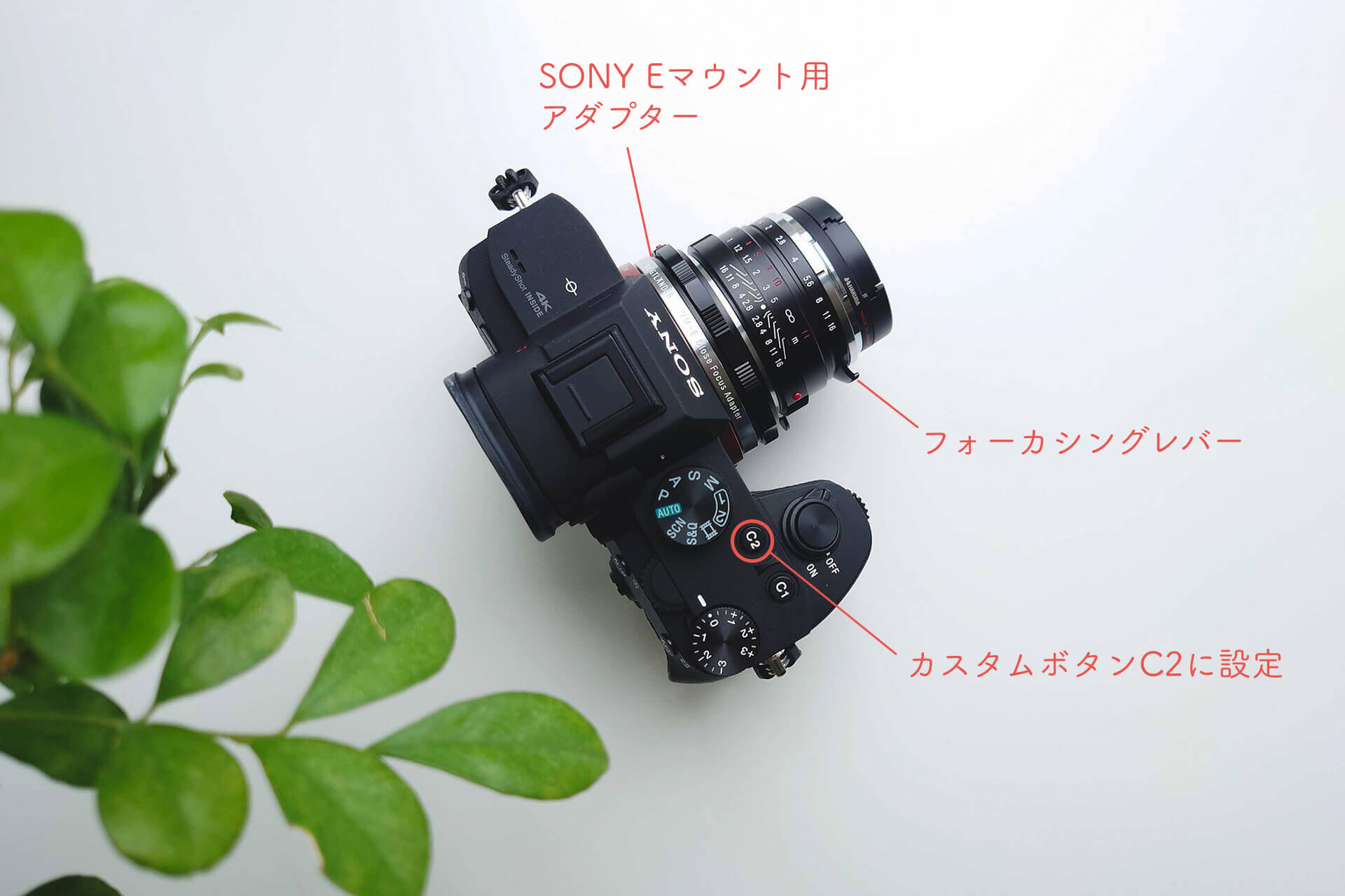 オールドレンズのような柔らかさと、現代的な解像力。写真の楽しみ方が