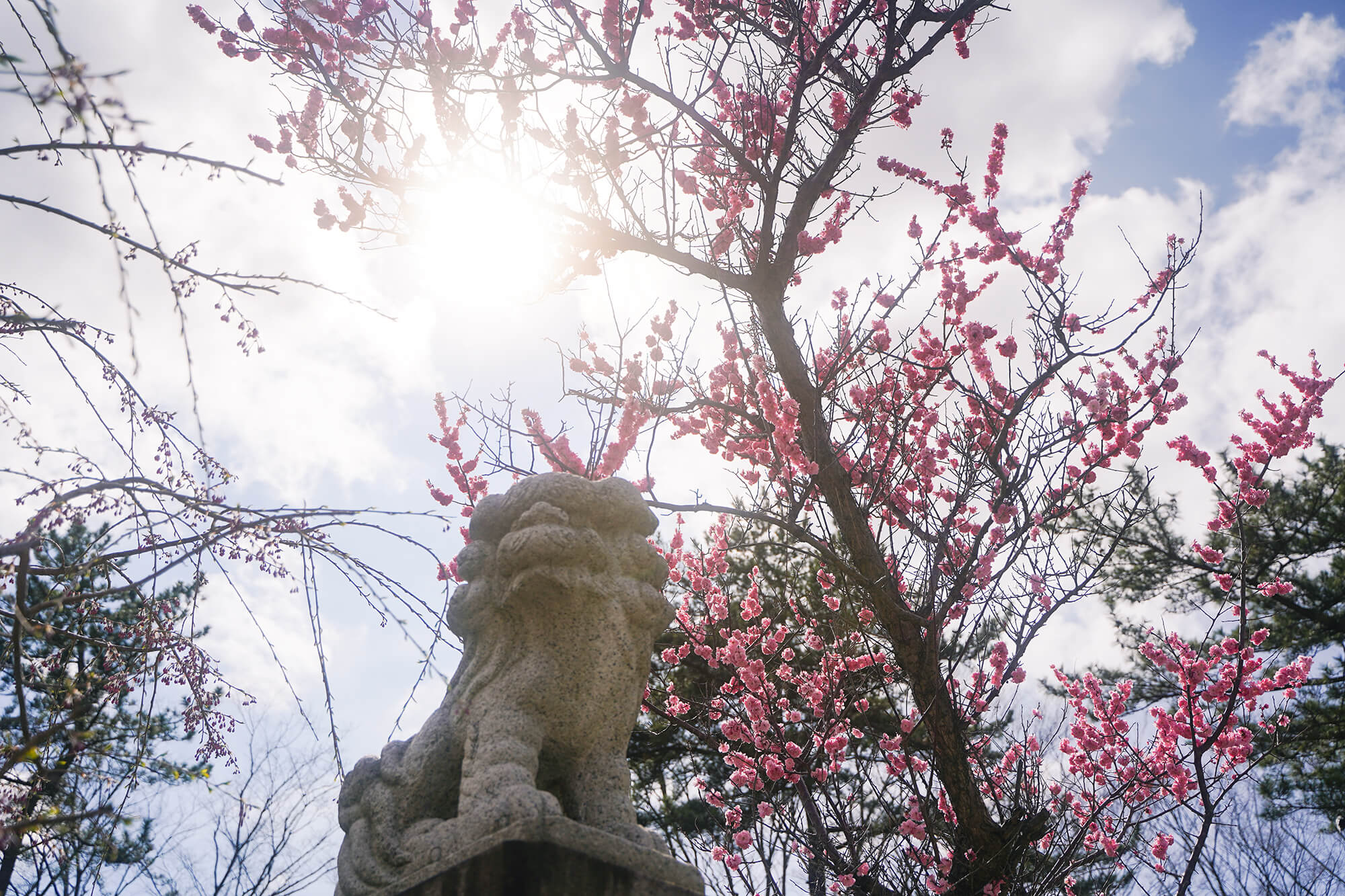 necco写真展春