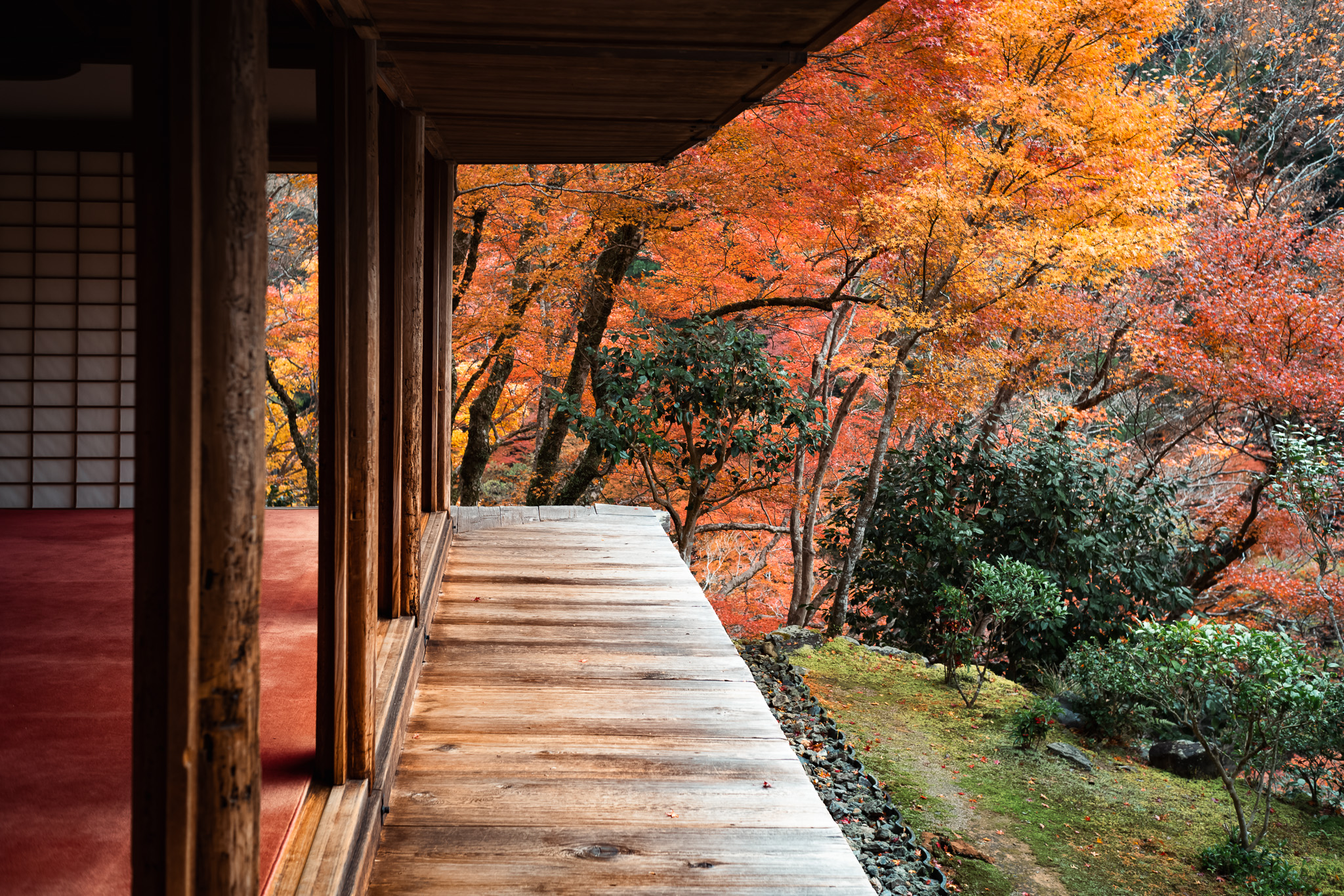 栂尾山「高山寺」石水院